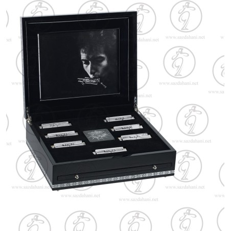 سازدهنى دياتونيك باب ديلن