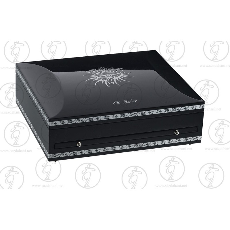 سازدهنى دياتونيك باب ديلن