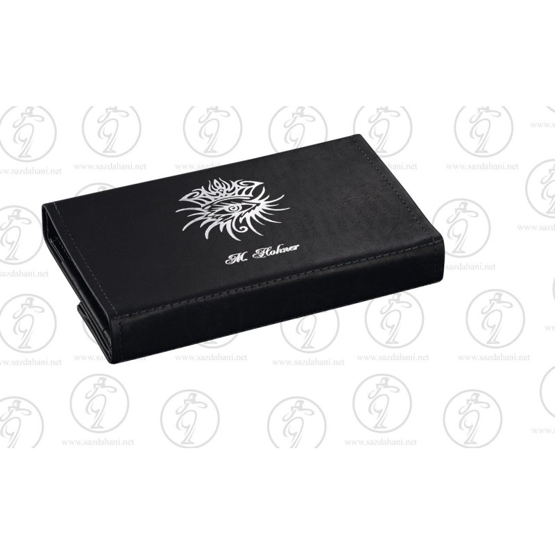 سازدهنى دياتونيك باب ديلن