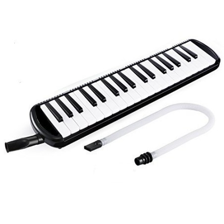 melodica bee